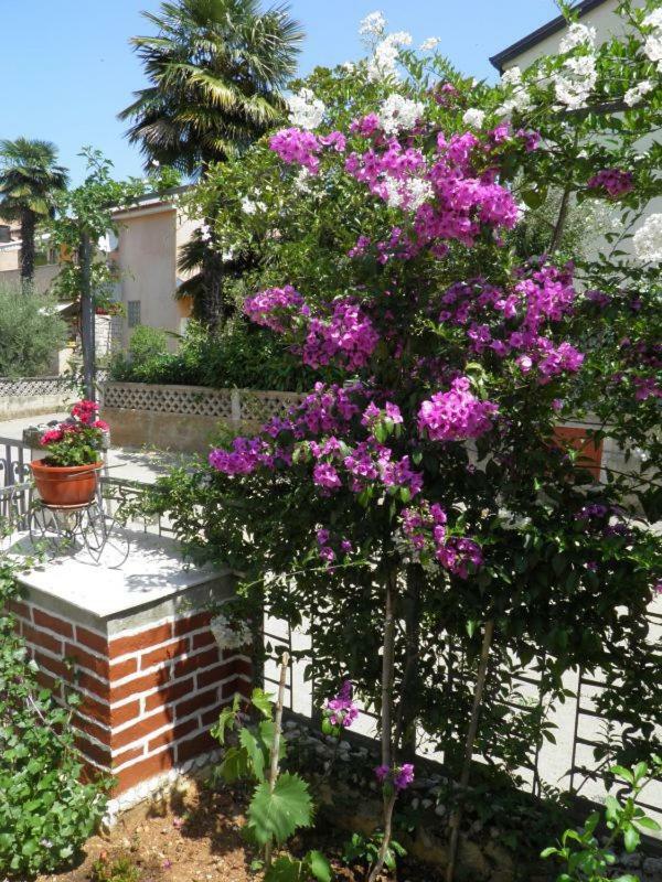 Sendi Apartment Poreč Exterior foto